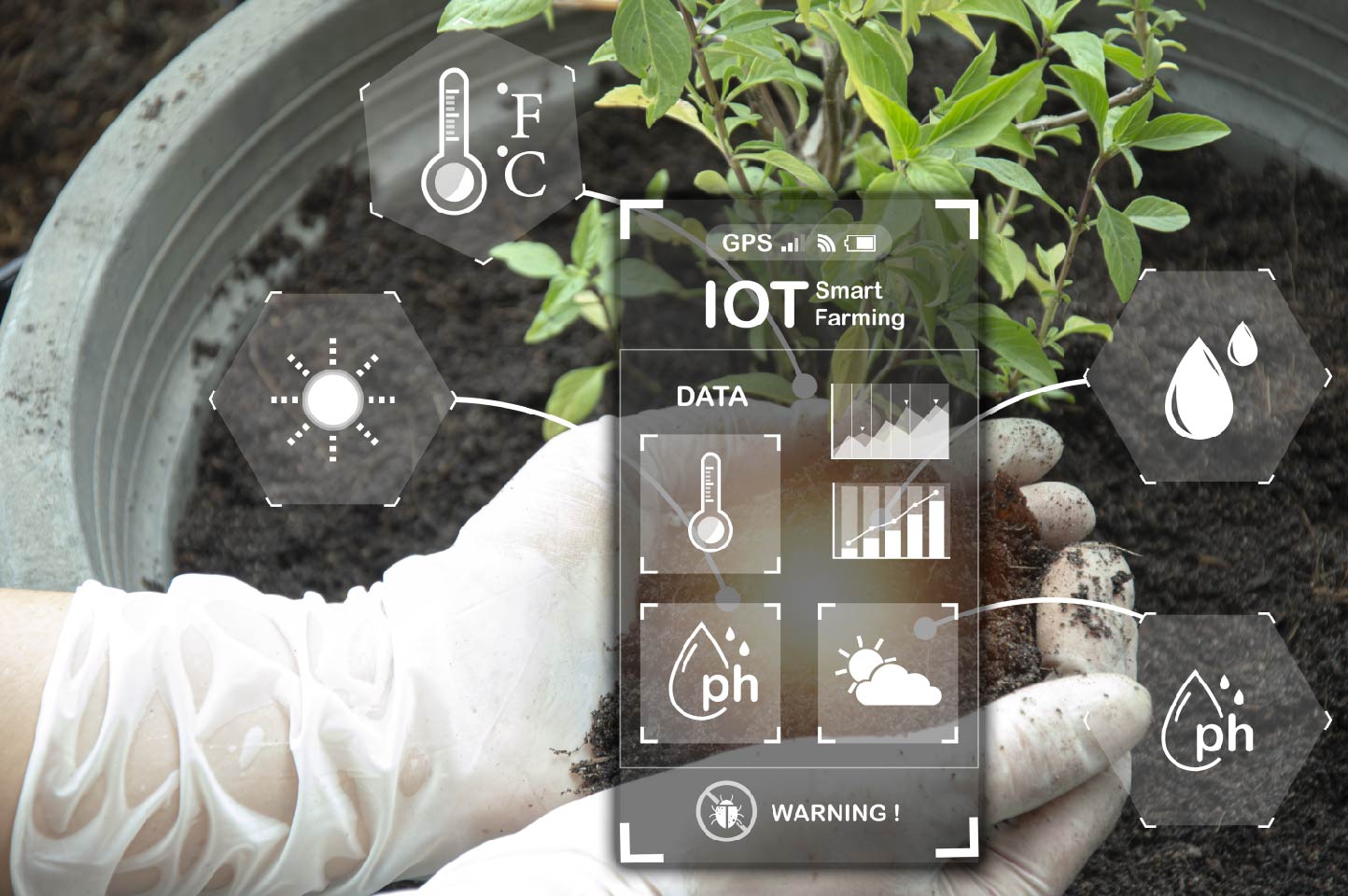 Senstornet IoT solutions for Agriculture
